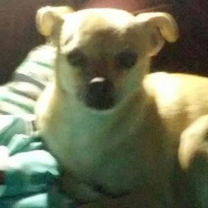 Meet your Posher, Cheri